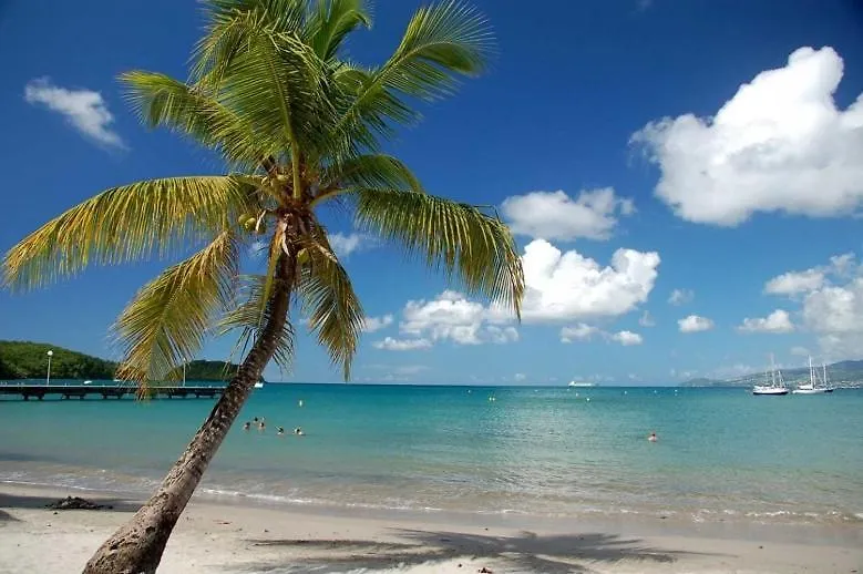 Tropical Haven 2 Pieces Contemporain Avec Piscine Apartment Les Trois-Ilets 0*,